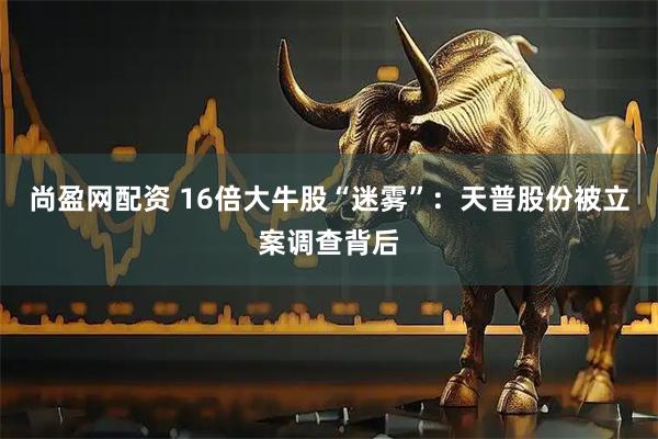 尚盈网配资 16倍大牛股“迷雾”：天普股份被立案调查背后